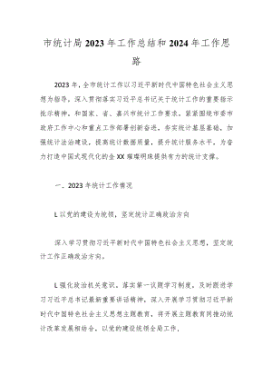 市统计局2023年工作总结和2024年工作思路.docx