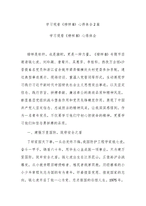 学习观看《榜样8》心得体会2篇.docx
