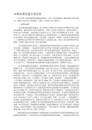 乡镇党委党建专项总结.docx
