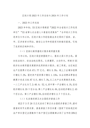 区统计局2023年工作总结与2024年工作计划.docx
