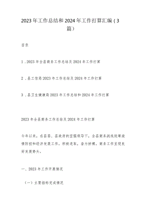 2023年工作总结和2024年工作打算汇编.docx