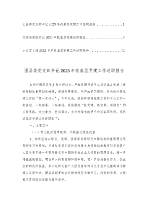 团县委党支部书记、民政局党组书记、办公室主任2023年抓基层党建工作述职报告（3篇）.docx