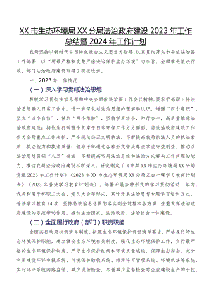 XX市生态环境局XX分局法治政府建设2023年工作总结暨2024年工作计划.docx