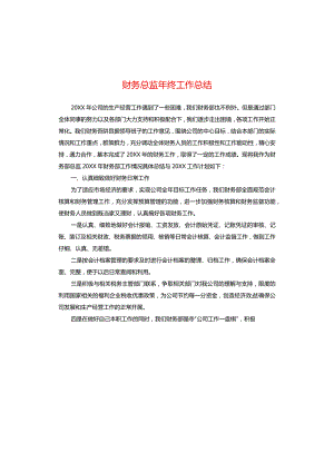 财务总监年终工作总结模板.docx