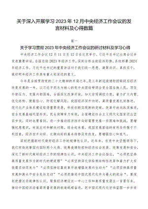 关于深入开展学习2023年12月中央经济工作会议的发言材料及心得数篇.docx