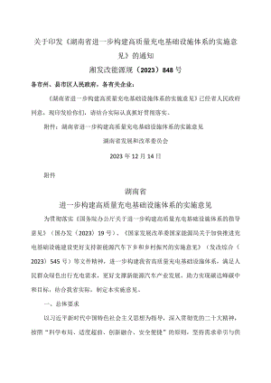 湖南省进一步构建高质量充电基础设施体系的实施意见（2023年）.docx