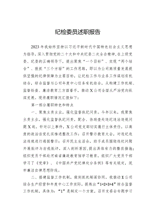 纪检委员述职报告.docx