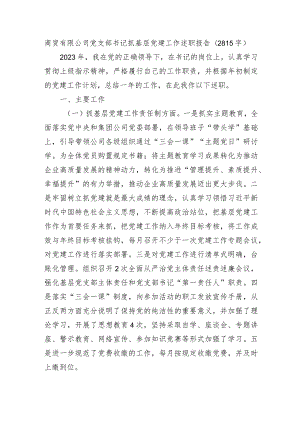 两新商贸有限公司党支部书记抓基层党建工作述职报告.docx