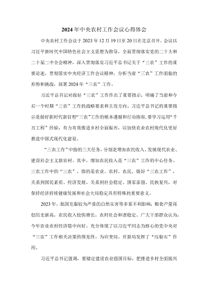 学习2024年中央农村工作会议心得体会 一.docx