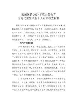 某某区长2023年度主题教育专题民主生活会个人对照检查材料.docx
