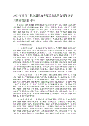2023年度第二批主题教育专题民主生活会领导班子对照检查剖析材料.docx