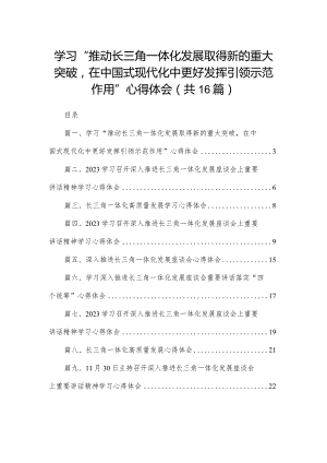 学习“推动长三角一体化发展取得新的重大突破在中国式现代化中更好发挥引领示范作用”心得体会范文精选(16篇).docx