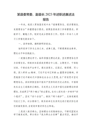某县委常委、副县长2023年述职述廉述法报告.docx