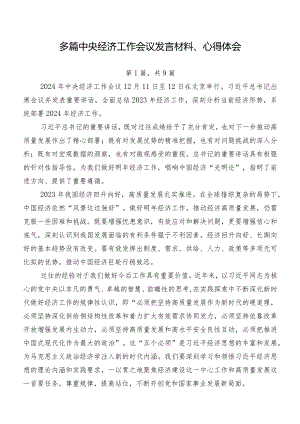 多篇中央经济工作会议发言材料、心得体会.docx