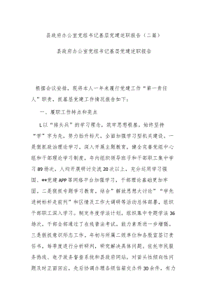 县政府办公室党组书记基层党建述职报告(二篇).docx