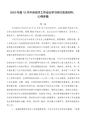 2023年度12月中央经济工作会议学习研讨发言材料、心得多篇.docx