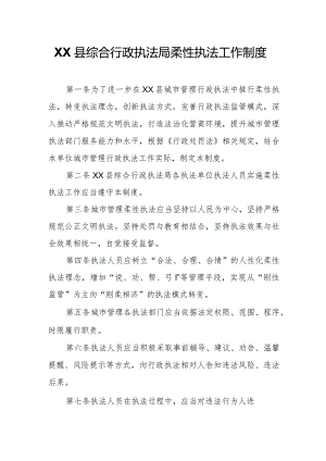 XX县综合行政执法局柔性执法工作制度.docx