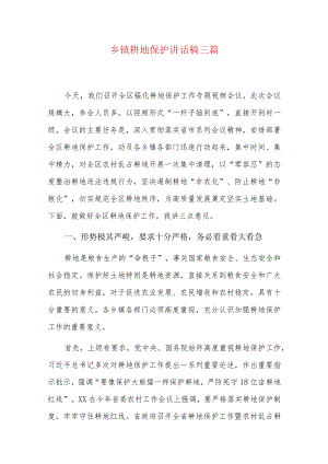 乡镇耕地保护讲话稿三篇.docx