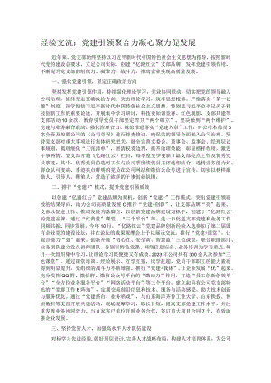 经验交流：党建引领聚合力 凝心聚力促发展.docx