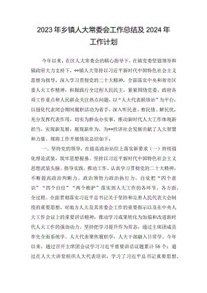 2023年乡镇人大常委会工作总结及2024年工作计划.docx