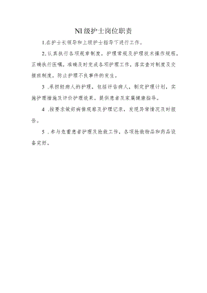 N1 级护士岗位职责.docx