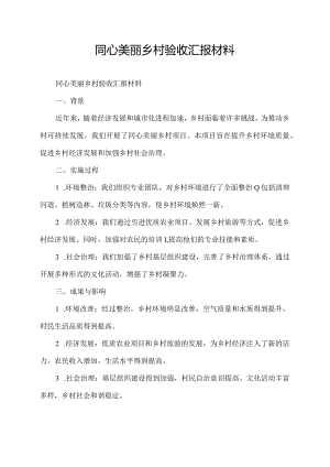 同心美丽乡村验收汇报材料.docx