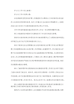 护士长工作计划.docx