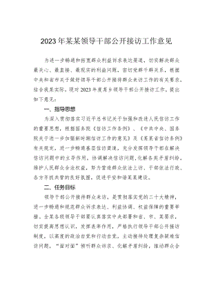 2023年某某领导干部公开接访工作意见.docx