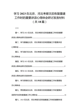 学习在北京、河北考察灾后恢复重建工作时的重要讲话心得体会研讨发言材料范文18篇供参考.docx