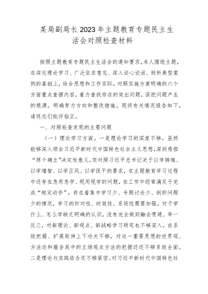 某局副局长2023年主题教育专题民主生活会对照检查材料.docx