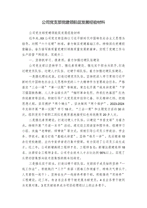 公司党支部党建领航促发展经验材料.docx