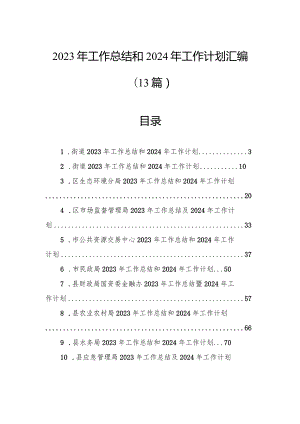 2023年工作总结和2024年工作计划汇编（13篇）.docx