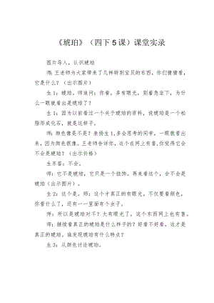 《琥珀》（四下5课）课堂实录.docx