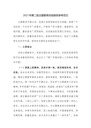 2023年第二批主题教育总结报告参考范文.docx