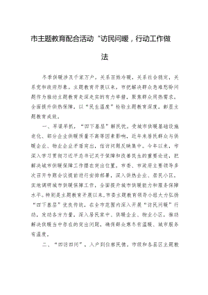 市主题教育配合活动“访民问暖”行动工作做法.docx
