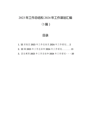 2023年工作总结和2024年工作谋划汇编（3篇）.docx