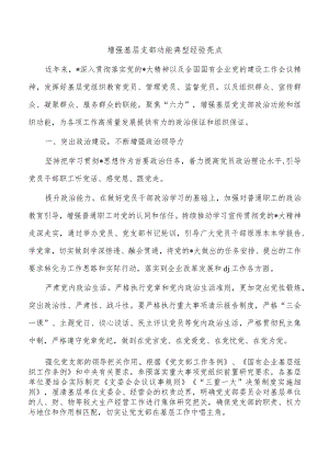 增强基层支部功能典型经验亮点.docx