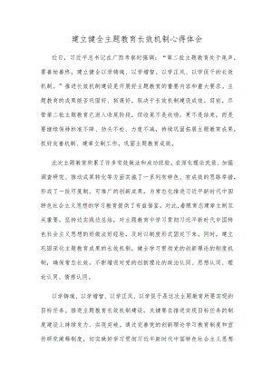 建立健全主题教育长效机制心得体会.docx