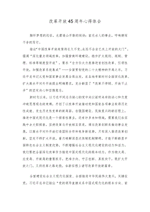 2023改革开放45周年心得体会.docx