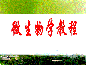 分解代谢和合成的代谢的联系.ppt.ppt