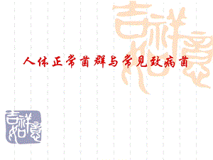 人体正常菌群与常见致病菌.ppt