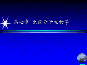 免疫分子生物学 免疫球蛋白.ppt