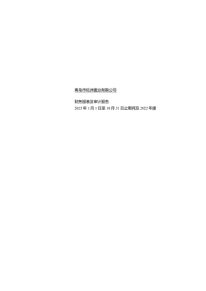 中洲控股：青岛市旺洲置业有限公司审计报告.docx