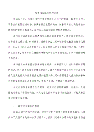 超市项目组织机构方案.docx