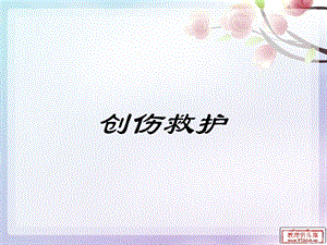 创伤急救.ppt