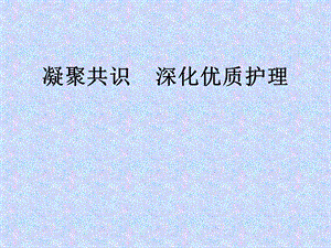 凝聚共识深化优质护理(怀化).ppt