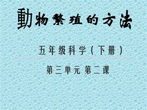动物繁殖的方法　.ppt