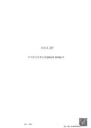 新大洲A：乌拉圭22厂审计报告.docx