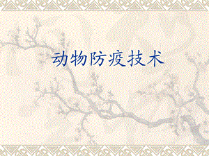 动物防疫技术.ppt
