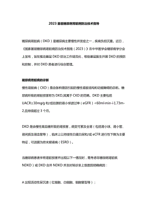 2023基层糖尿病肾脏病防治技术指导.docx